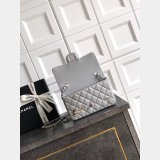 2026 CC Classic 1112 bag