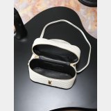 YSL GABY SMALL Vanity Bag 22cm