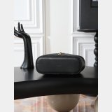YSL GABY SMALL Vanity Bag 22cm