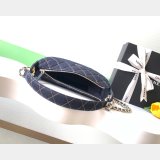 Best 1:1 AP4386 Hobo / AP4385 Vanity / AS1116 Mini CF / AP4986 Clutch Bag