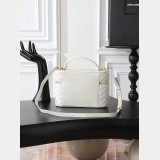 YSL GABY SMALL Vanity Bag 22cm