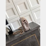2026 CC Evening Bag AS4297